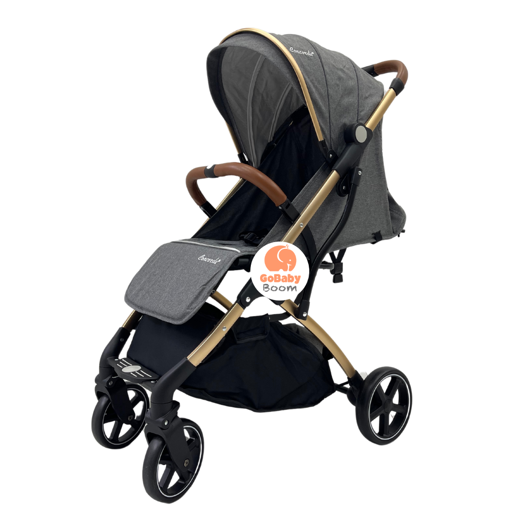 Paseador Estilo Maleta 2.0 Concorde