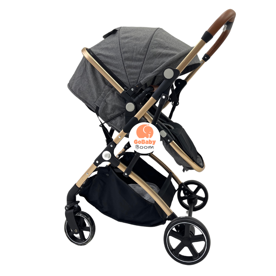 Coche Moises Small Maxibaby