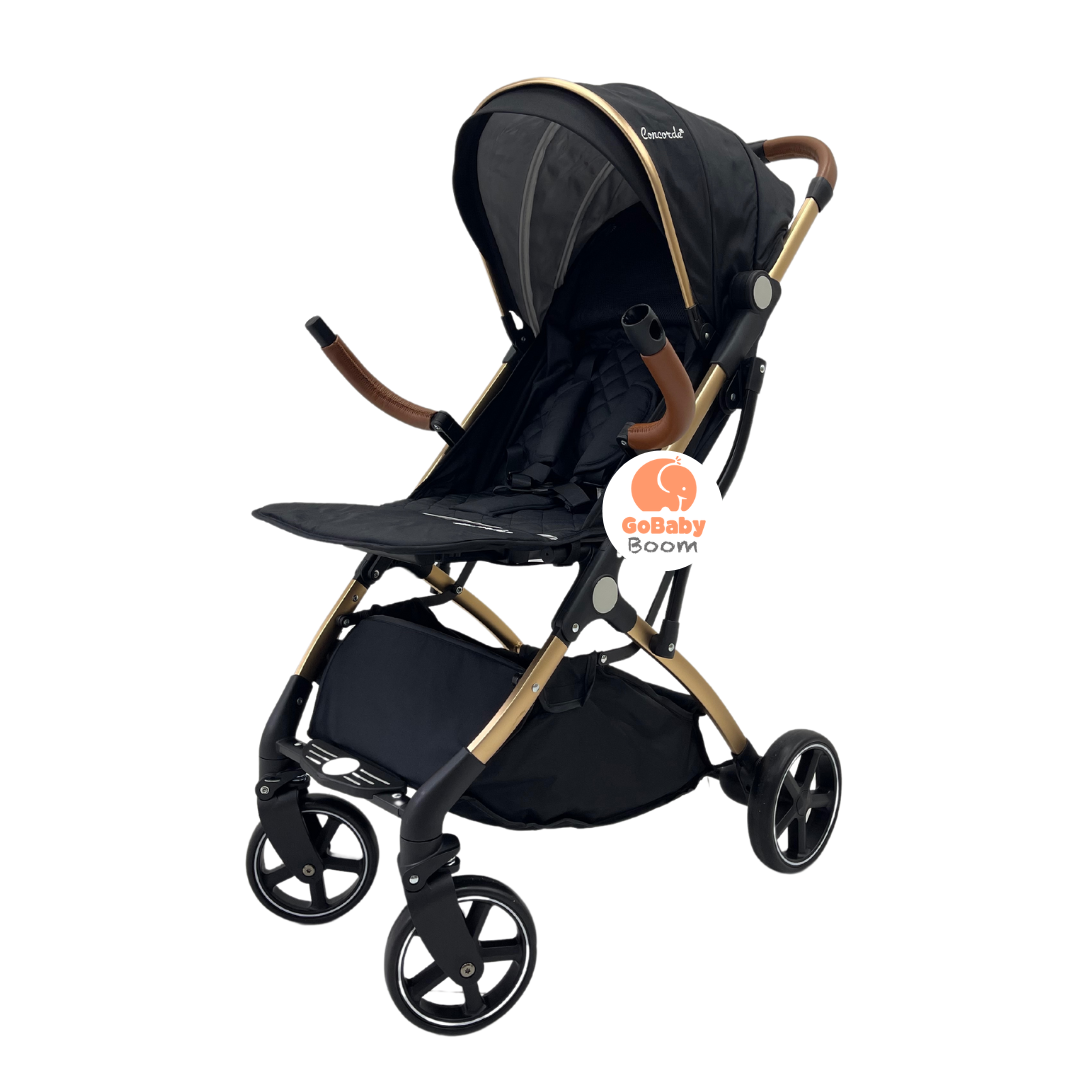 Paseador Estilo Maleta 2.0 Concorde