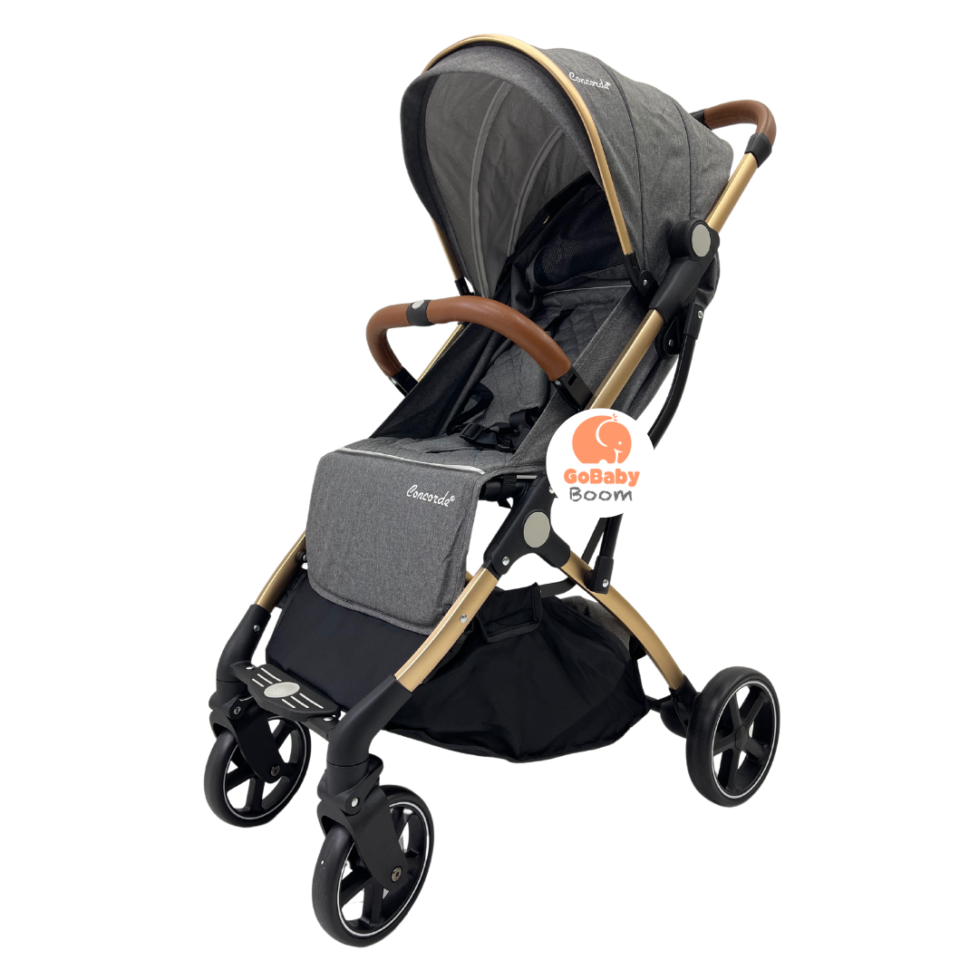Paseador Estilo Maleta 2.0 Concorde