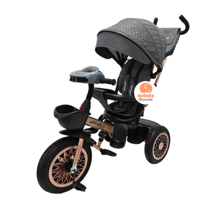 Triciclo Paseador Musical Maxibaby