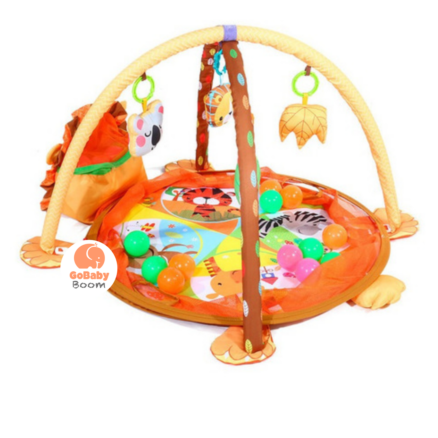 Gimnasio Piscina de Pelotas