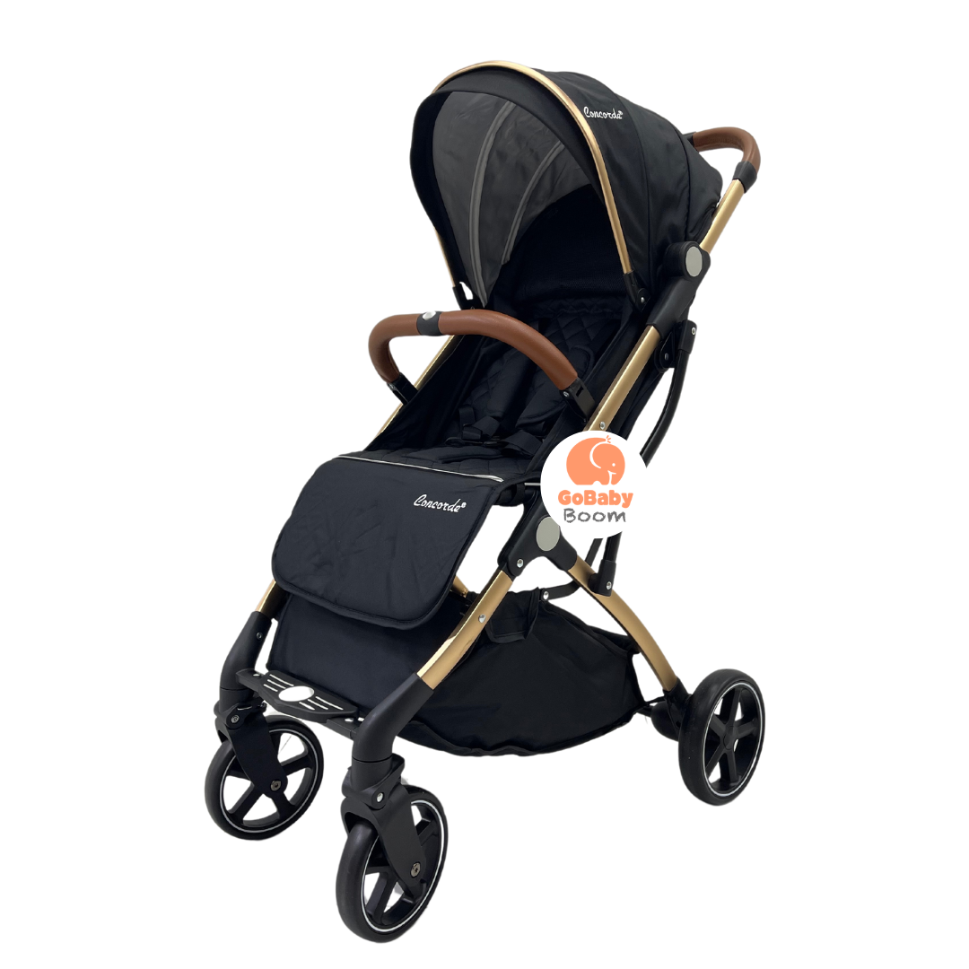 Paseador Estilo Maleta 2.0 Concorde