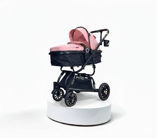 Coche Moises Estilo Maleta