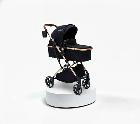 Coche Moises Small Maxibaby
