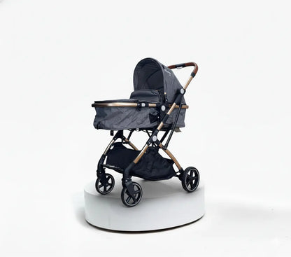 Coche Moises Small Maxibaby