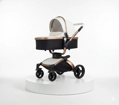 Coche Moises 3 Aulon